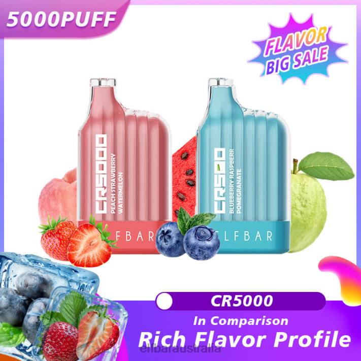 ELFBAR Best Flavor Disposable Vape CR5000 Big Sale Watermelon RZD816