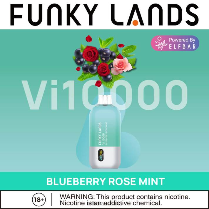 ELFBAR Funky Lands Disposable Vape Vi10000 Puffs Blueberry Rose Mint RZD8163